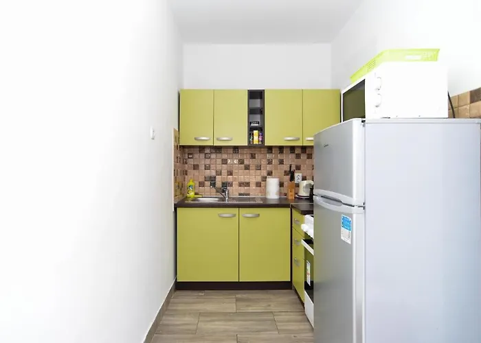 Lejlighed Spacious Flat With Pool Just 300m From The Fažana